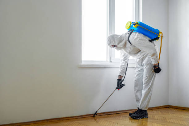Best Insect Control  in Marrero, LA