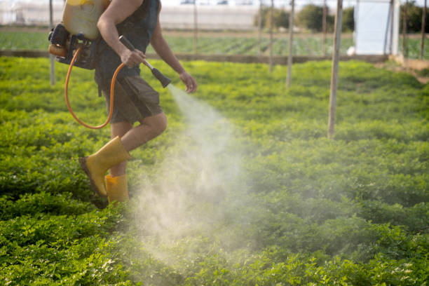 Best Exterminator Services  in Marrero, LA