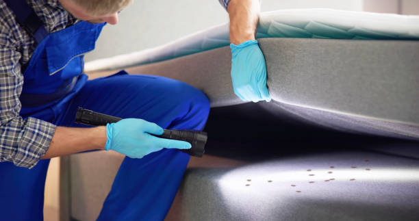 Best Best Pest Control Companies  in Marrero, LA