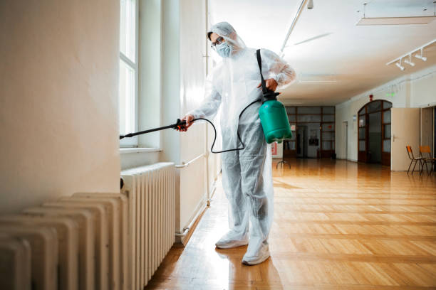Best Affordable Pest Control Services  in Marrero, LA