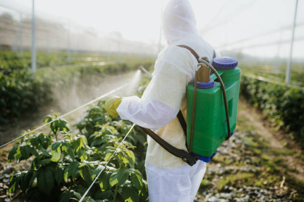 Best Pest Control Cost  in Marrero, LA